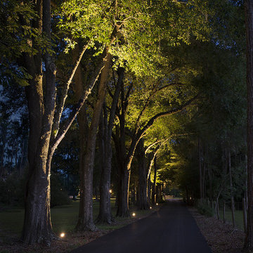 Drivway Lighting