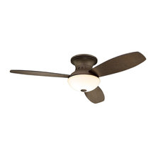 fans