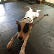 Jake Adkinson's photo