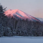 Jason Salvatore's photo