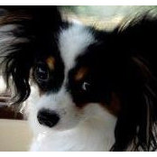 Louise Longenecker's photo