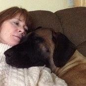 Susan Wells's photo