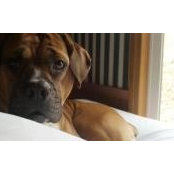 Ashley Ireland's photo