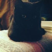 Juliet Steinbrenner's photo