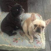 Annette & Tom Juhl's photo