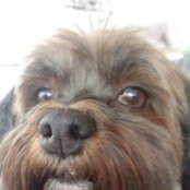 Jamie Hoffman's photo