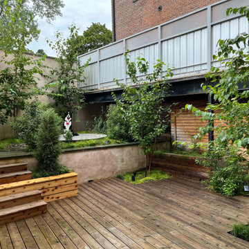 A juniper sits in a stair planter, accompanied by birch trees and bayberry shrub