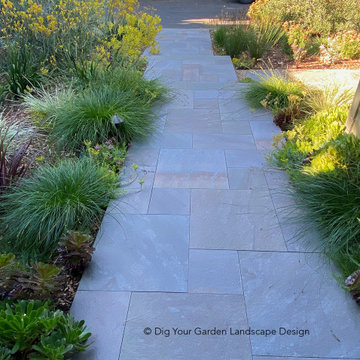 Modern Farmhouse Landscape Renovation, Novato, CA