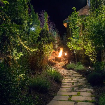 Pathway At Night