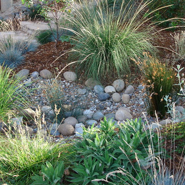 Natural Drainage