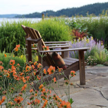 Perennials