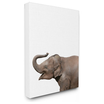 Baby Elephant Studio Photo, Canvas, 24"x30"