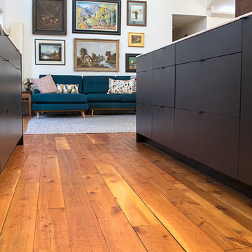 Salt Lake City Modern Kitchen
