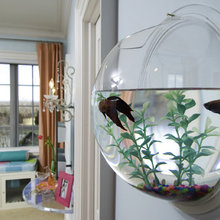 jasmin_hester's Ideas