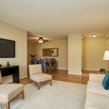 Bushman Drive Staging