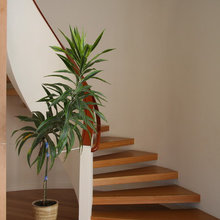 raymond_walandow's ideas