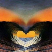Diane Workman's photo