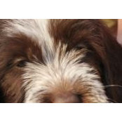 Lisa Miller's photo