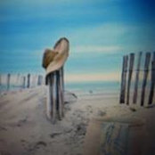 Julie Wright's photo