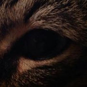Pam Mingione's photo