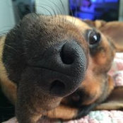 Maggie Ehrmin's photo