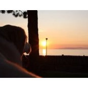 Beth Nicholson's photo