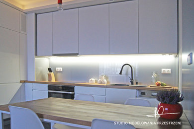 Trendy kitchen photo in Other