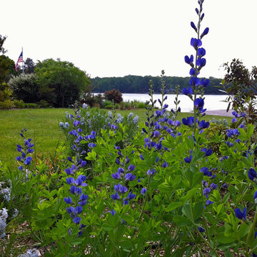 Lake near Fredericksburg, VA: Plant&Sustain for Clean Water