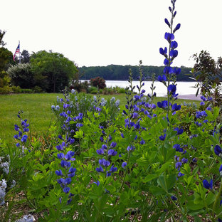 Lake near Fredericksburg, VA:  Plant&Sustain for Clean Water