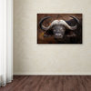 Mario Moreno 'A Buffalo Portrait' Canvas Art, 32 x 22