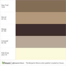 Color Palette