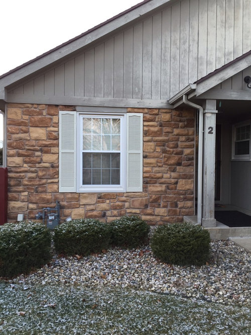 Should I paint or vinyl side my house?