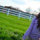 lily_byrons