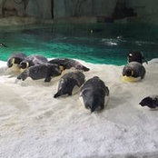 Richie Cua's photo