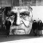 Stephen Bevis's photo