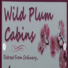 Wild Plum Log Cabins