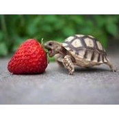 Michael Condello's photo