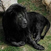 dwayne Baptiste's photo