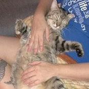 Savonna Lessley's photo