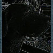 Pat Weighall's photo