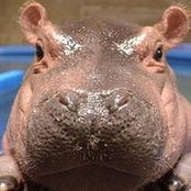 Foto de Ralphie Rustah
