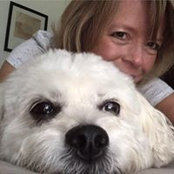 Traci Anderson's photo