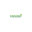 Evercrest Landscape Group