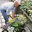 Reliable Lawn Care & Landscaping