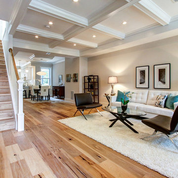 Washington DC - Open Living Spaces