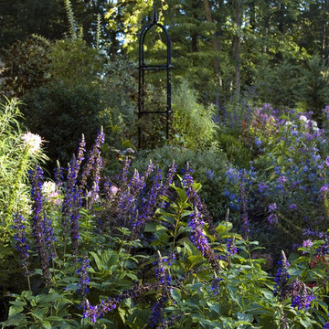 English Country Garden