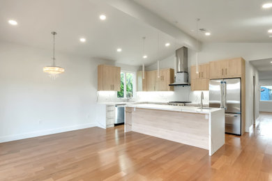Inspiration for a modern home design remodel in San Francisco