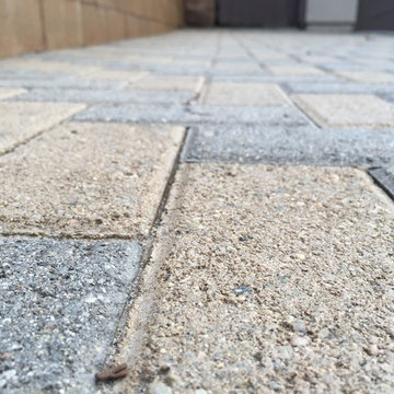Pavers & Division Wall