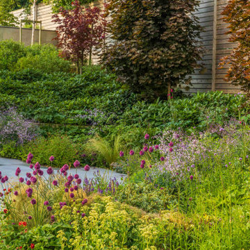 Contemporary Garden With a View