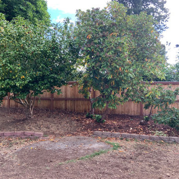 Fircrest Front Yard
